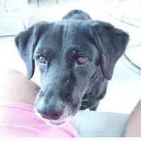 Katie Conway Salin's profile image