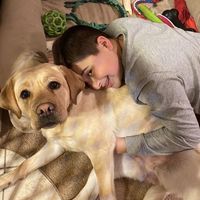 Maureen McEntee's profile image