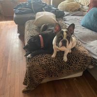 Jackie Gruber's profile image