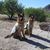 Claire Cerame's profile image