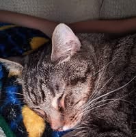 Clayton R Prinster's profile image