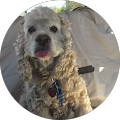 Maggie