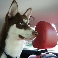 Clark Compton's profile image