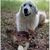 John Clark's profile image