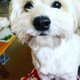 Sherry's profile image
