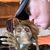 DeAnna Redding Pomykal's profile image