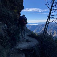 David Theall's profile image