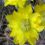 Nichole K.'s profile image