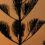 Yesenia R.'s profile image