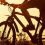 Jorge L.'s profile image
