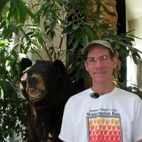 Bob Morris's profile image