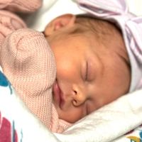 ChucknSylvia Ciaramitaro's profile image
