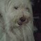 Cyndi W.'s profile image