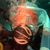 Sue Mureau's profile image