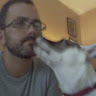 Elvis's profile image