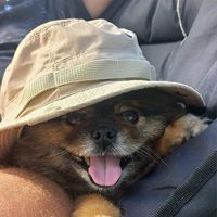 Paula Hope's profile image