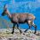 Zebulan A.'s profile image