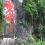 SHEETAL S.'s profile image