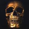 killing f.'s profile image