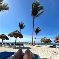 Monica Ordaz Acosta's profile image