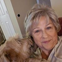 Karen S White's profile image