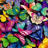 Debra Pierce Marrinan's profile image