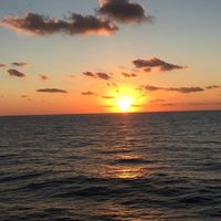 Rebecca Johnson Anspach's profile image