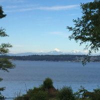 Marie Amarante's profile image