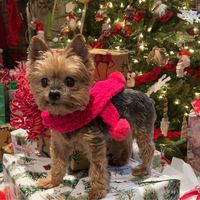 Lori Ranelli Boohaker's profile image