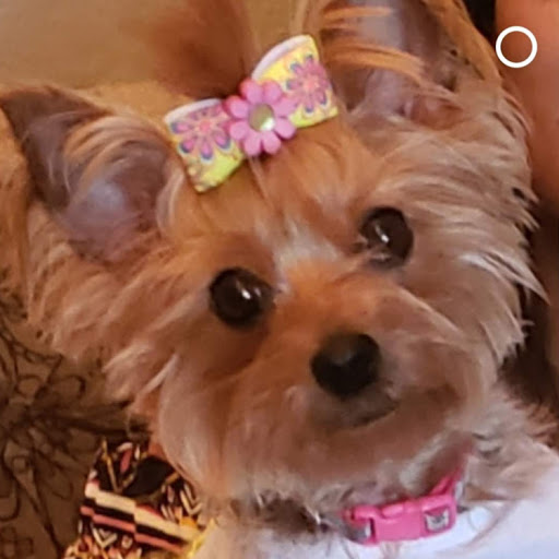 Sanessa Greenlee's profile image