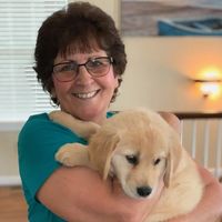 Angela Spano Procida's profile image