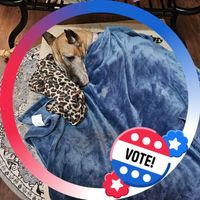Debra Oliver's profile image