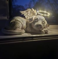 Andrew Foulks's profile image