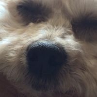 James K. Weber's profile image