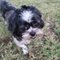 Cynthia H.'s profile image