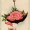 TheRose O.'s profile image