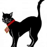 Abdurrahim Ali's profile image