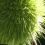 Desiree I.'s profile image