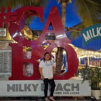 Rocio Alpizar's profile image