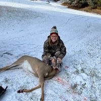 Debbie Fisher's profile image
