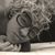 Aliza Little's profile image