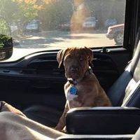 Glenn Baker's profile image
