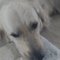Deepa C.'s profile image