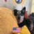 Shannon Wanshop's profile image