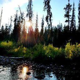 Troy Brown's profile image