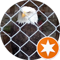 John Ferri's profile image