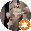 Brian Skrepnek's profile image
