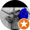 blulocs's profile image