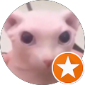 sheeblou's profile image