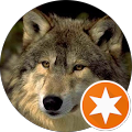 Dominic Santoriello's profile image